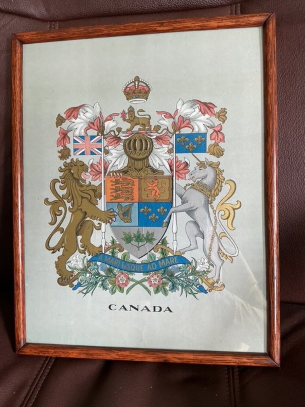 Framed Vintage Print 1921-1957 Version Of The Arms Of Canada